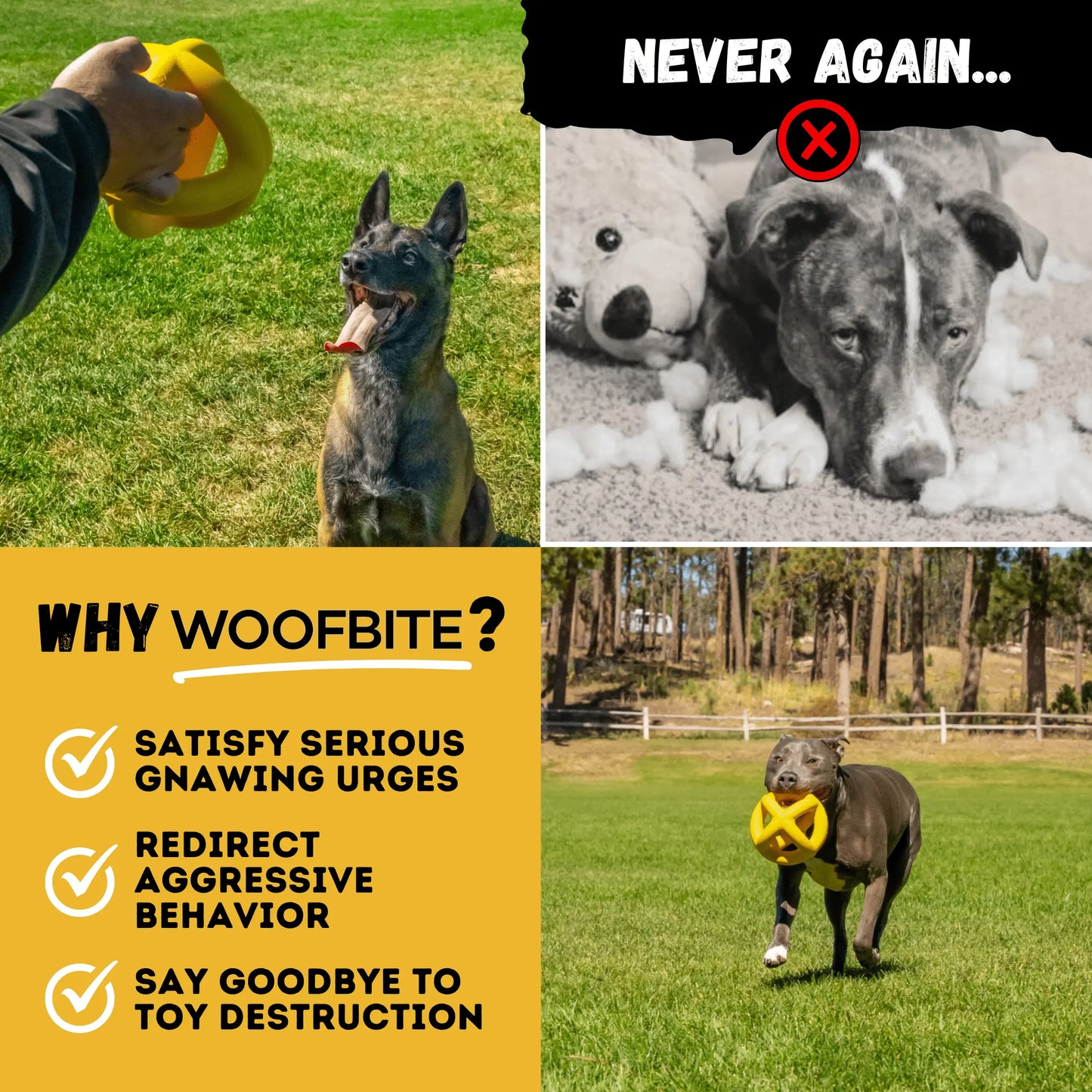 Monster K9 Giant Halo Ball – Oversized Indestructible Dog Ball for XL & Large Breed Power Chewers