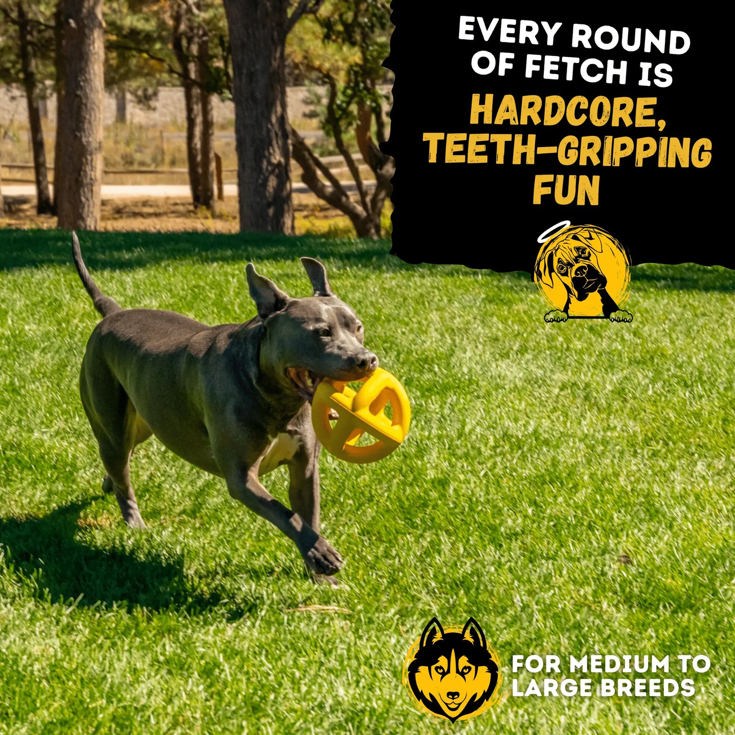 Monster K9 Giant Halo Ball – Oversized Indestructible Dog Ball for XL & Large Breed Power Chewers